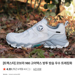 트렉스타 코브라 980 고어텍스 방투 방습 우수 트레킹화