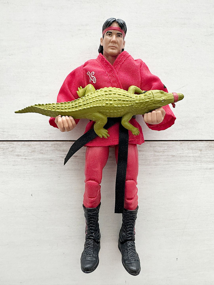 WWE 피규어 정리 1--4