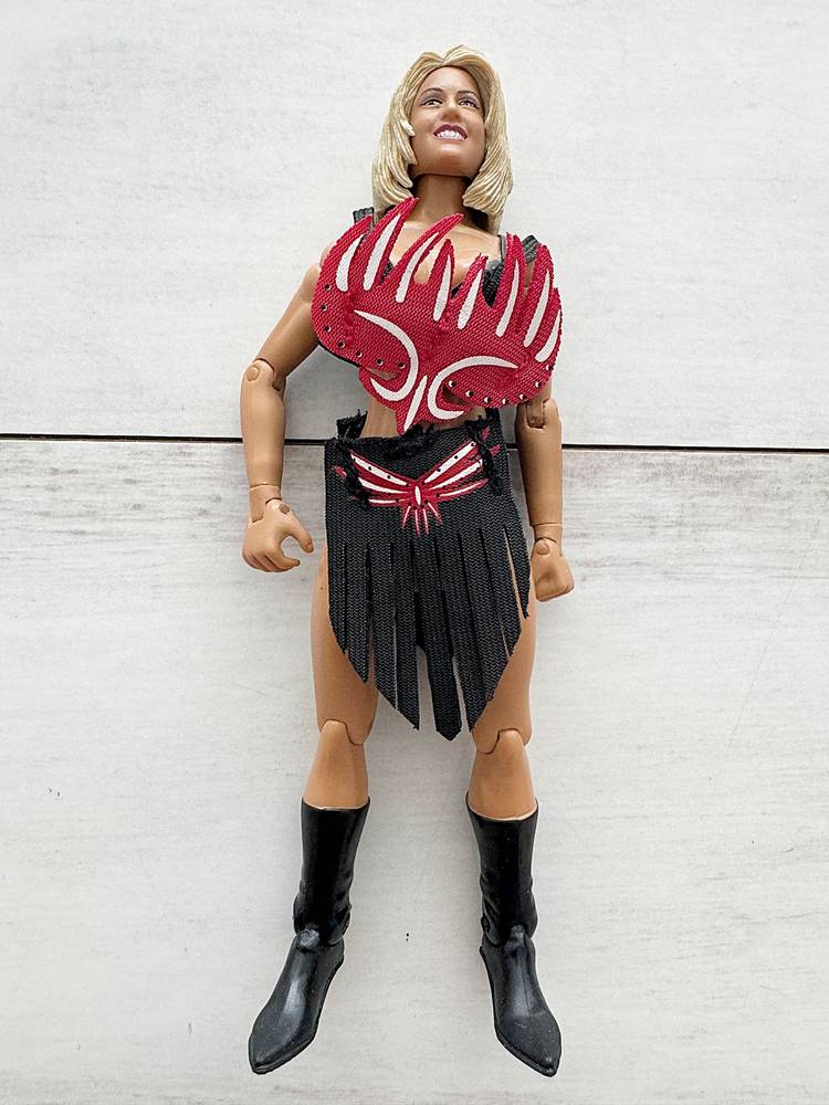 WWE 피규어 정리 1--6