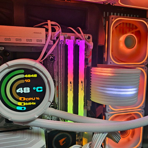 Manta ddr5 48gb(24x2) 6200 cl32 국내 정품