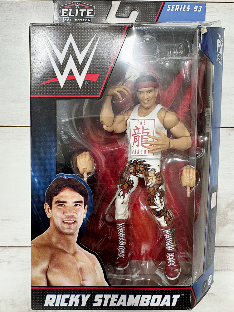 WWE 피규어 정리 2--3