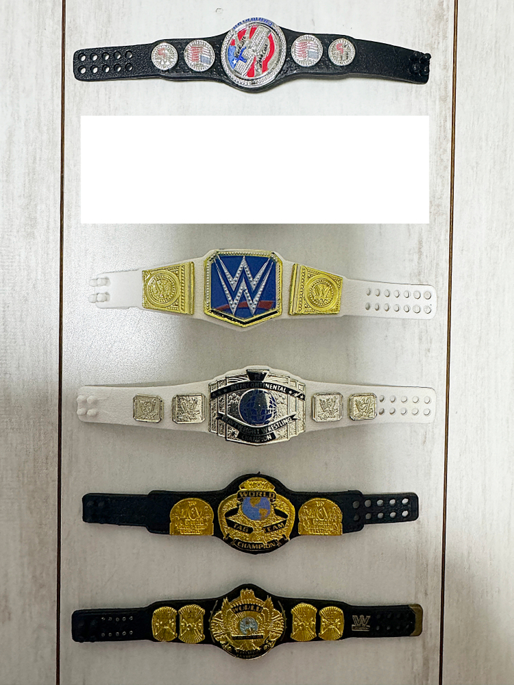 WWE 피규어 소품/벨트/의류 판매--1