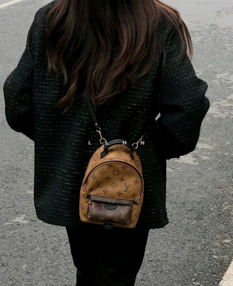 루이비통 팜스프링 미니--2