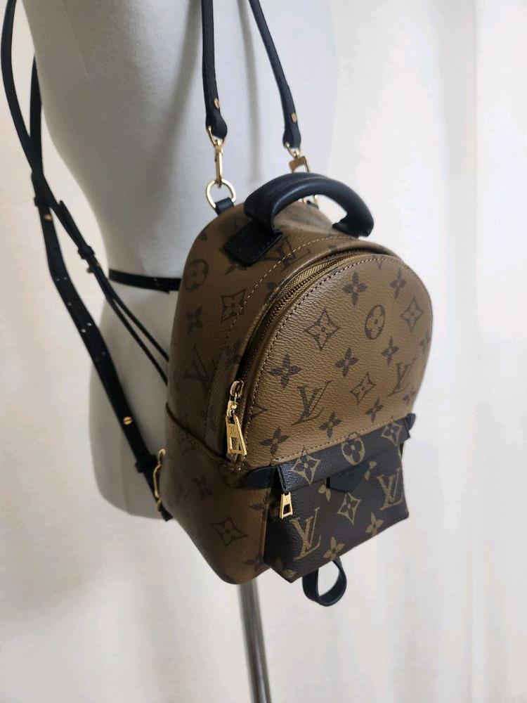 루이비통 팜스프링 미니--3