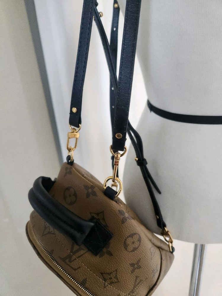 루이비통 팜스프링 미니--4