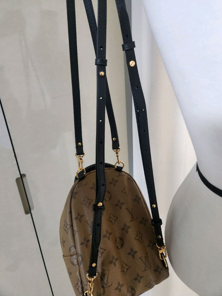 루이비통 팜스프링 미니--5