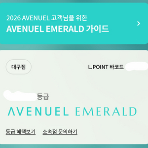 롯데 에메랄드 발렛 주차권