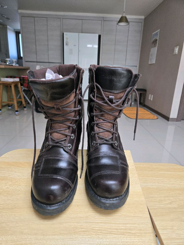 할리 데이비슨 워커 부츠--4