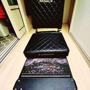 나루예 소좌 프리미엄 68 팝니다 이미지