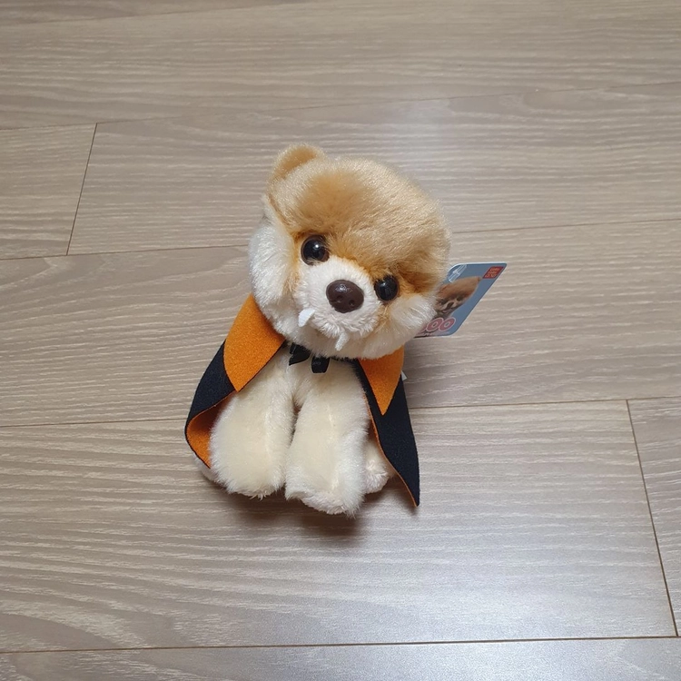 포메라니안 부 할로윈 인형 판매합니다. - 안심되는 중고거래