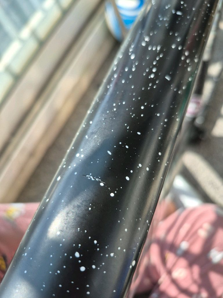 콘스탄틴 버나드 25년식 반차팔아요--4