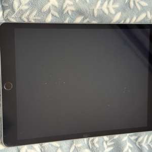 아이패드 8세대 스페이스 그레이 32GB + 짭플펜슬