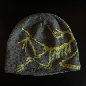 아크테릭스 버드헤드토크 포리지 비니