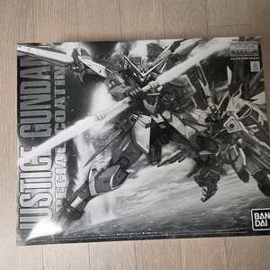 MG 저스티스건담 스페셜코팅