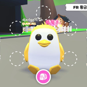 입양하세요,FR황금 펭귄 이미지