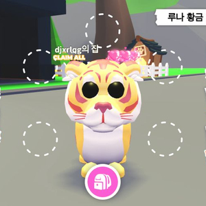 입양하세요,루나 황금 호랑이 이미지