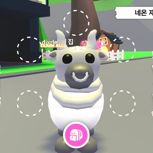 입양하세요,R메탈 황소 이미지