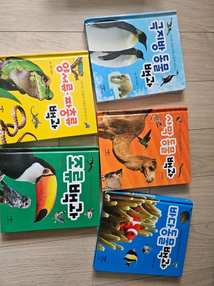 유치부 한자사전,애플비 동물백과--1