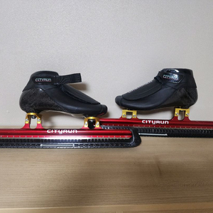 시티런 스케이트 245