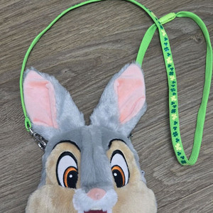 디즈니랜드 덤퍼 패스케이스 동전 카드지갑