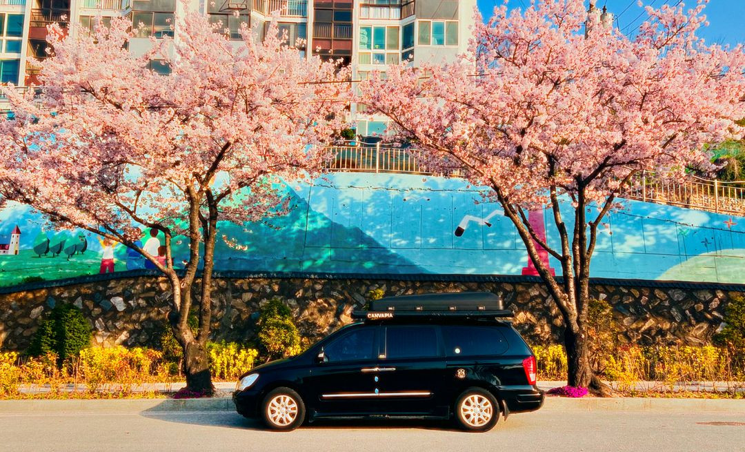 카니발 캠핑카 2인 구조변경완료 이미지