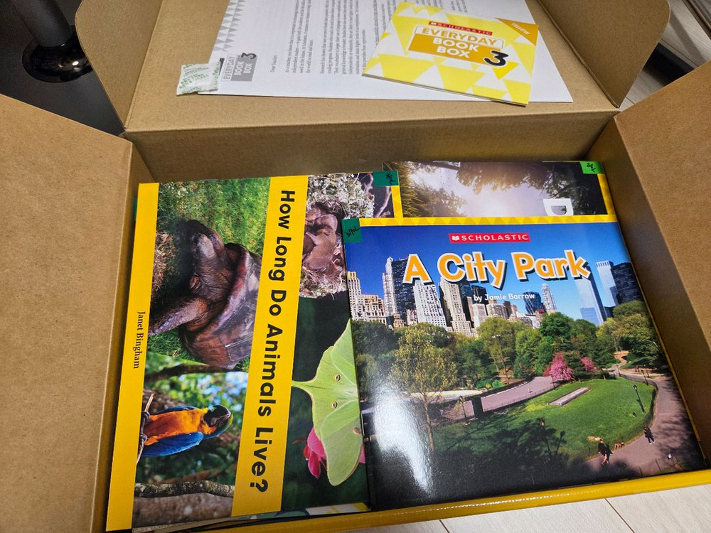 스콜라스틱 EBB 옐로우150권 택포--5