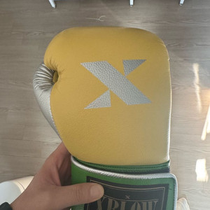 복싱글러브 16oz 이미지