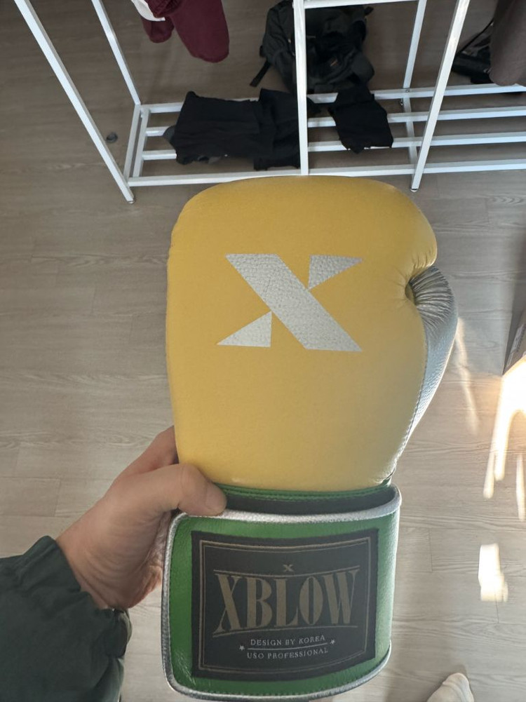 복싱글러브 16oz 이미지