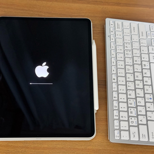 아이패드프로m2 12.9인치 wifi 256gb 애플펜슬2 키보드 팔아요