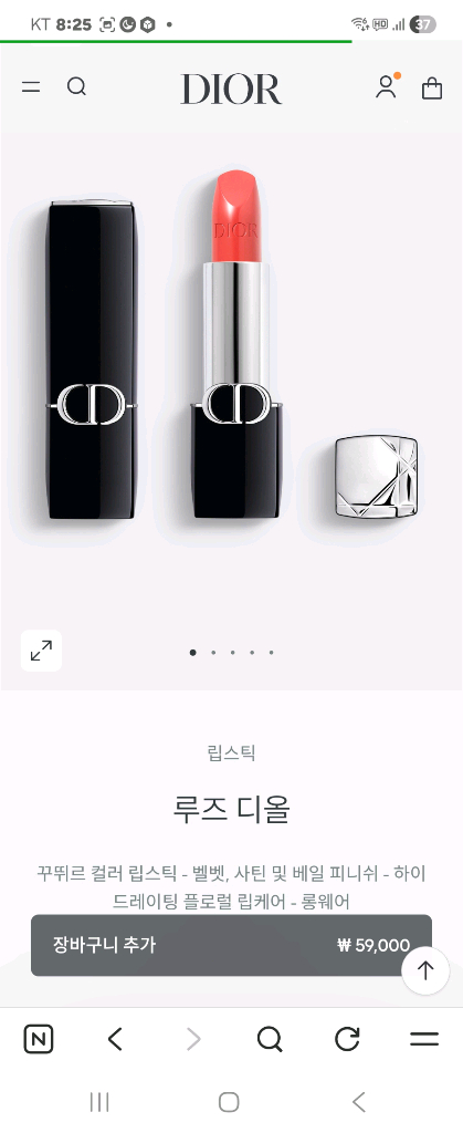 디올 루즈 립스틱 343 파나레아 사틴--0