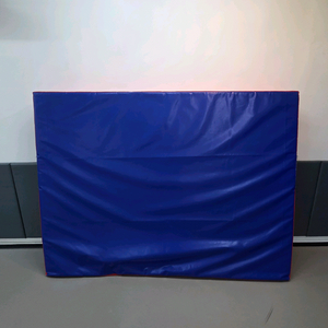 유도 메치기 매트 태권도 합기도 체육관 수원