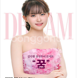 [ 서울, 부산, 대구 ] 김다현 전국투어 콘서트 / R석 무대 앞 1석, 2연석 - 4연석