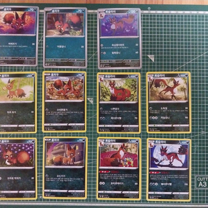 포켓몬카드 훔처우, 폭슬라이 일반카드 11종 일괄