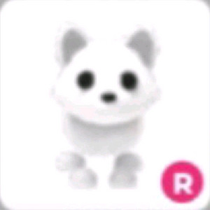 입양하세요 타 북여 판매합니다 이미지