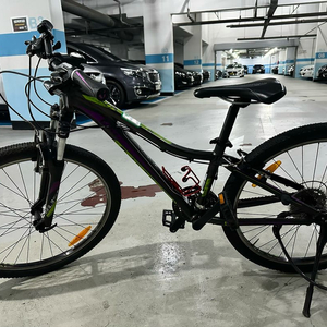 Giant MTB 자전거