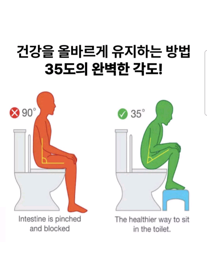 변비에서 쾌변을 도와주는 발받침대입니다 이미지