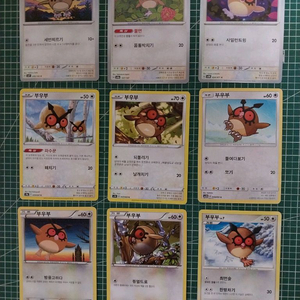 포켓몬카드 부우부 일반카드 9종 일괄