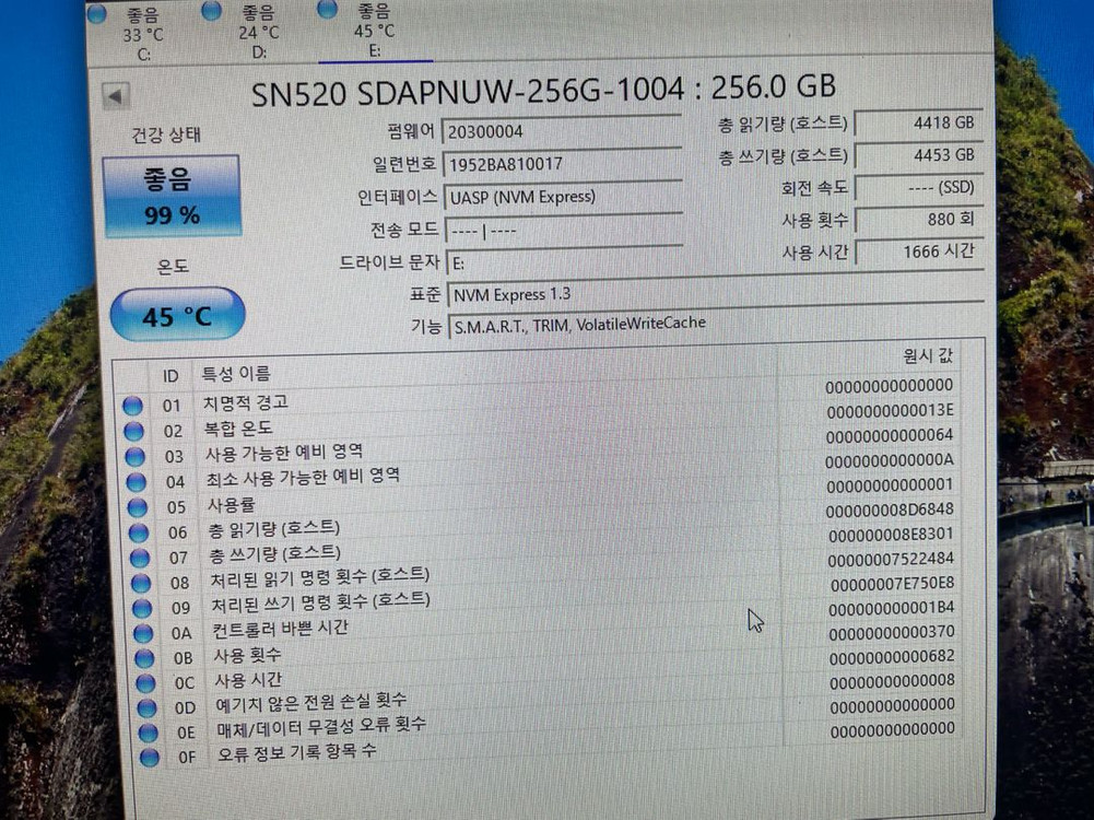 NVMe SSD 256기가 WD 택포--1