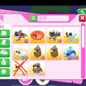 입양하세요 펫 팔아요 이미지