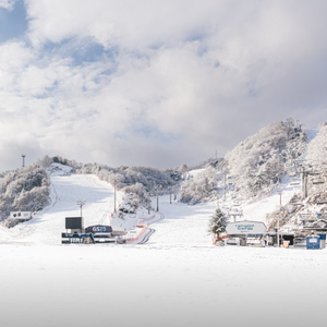 리프트권-장비렌탈~휘닉스파크 웰리힐리 알펜시아 엘리시안강촌 오크밸리 이미지