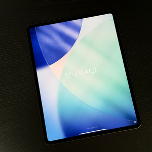 아이패드 프로 13인치 M4 256GB WIFI [애케플]