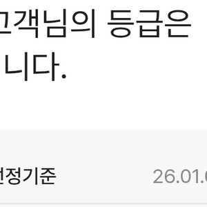 신세계 골드 발렛+라운지 세트