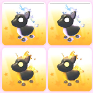 입양하세요 화염 암말 이미지