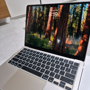 애플 맥북에어 M2 13인치 1TB 24RAM 10CORE 10GPU