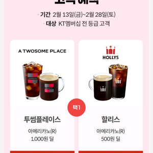 KT 투썸플레이스 아메리카노 1000원 or 할리스 아메리카노 500원 구매쿠폰