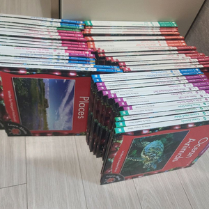 영어 Learn-Abouts 원서 시리즈 세트