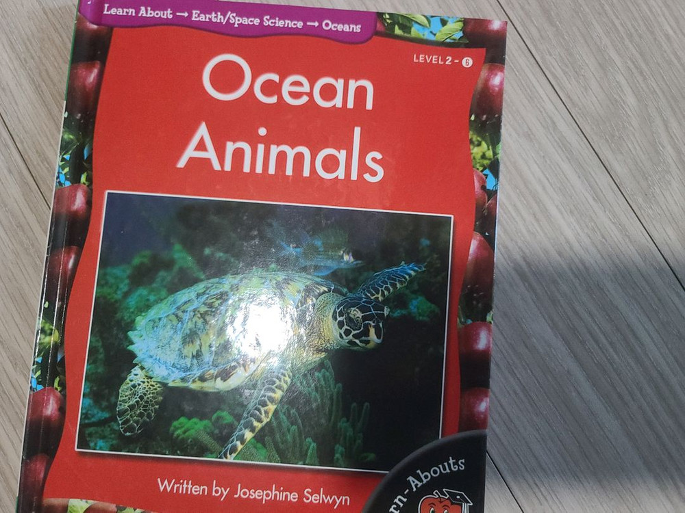 영어 Learn-Abouts 원서 시리즈 세트--1