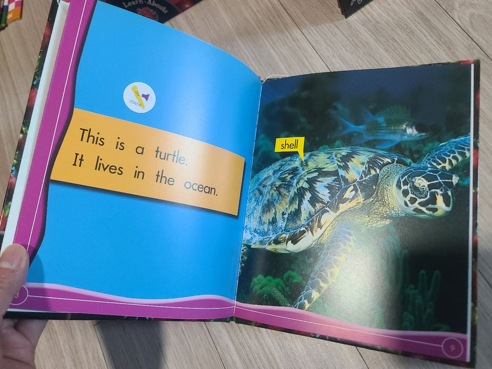 영어 Learn-Abouts 원서 시리즈 세트--2