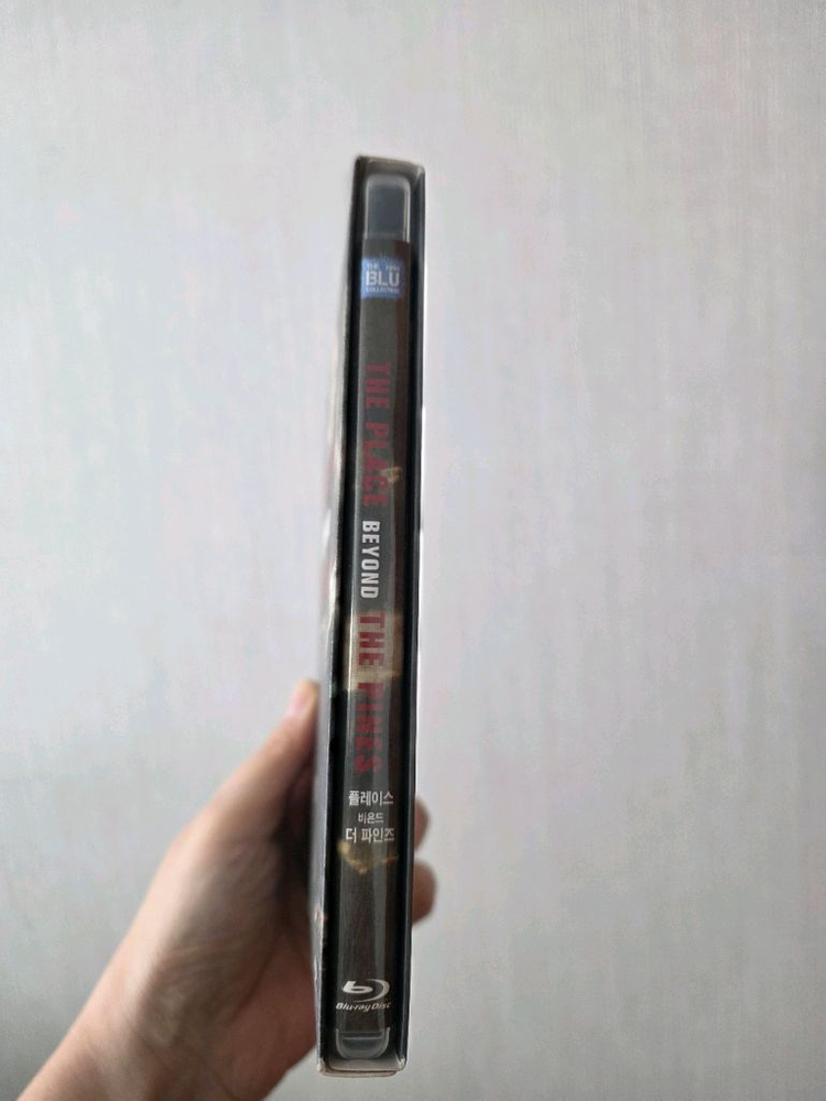 플레이스 비욘드 더 파인즈 블루레이--1