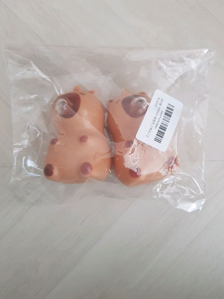 귀여운 카피바라 스퀴시 스트레스 해소 재밌는 인형 아이 선물 장난감 인테리어 소품 이미지